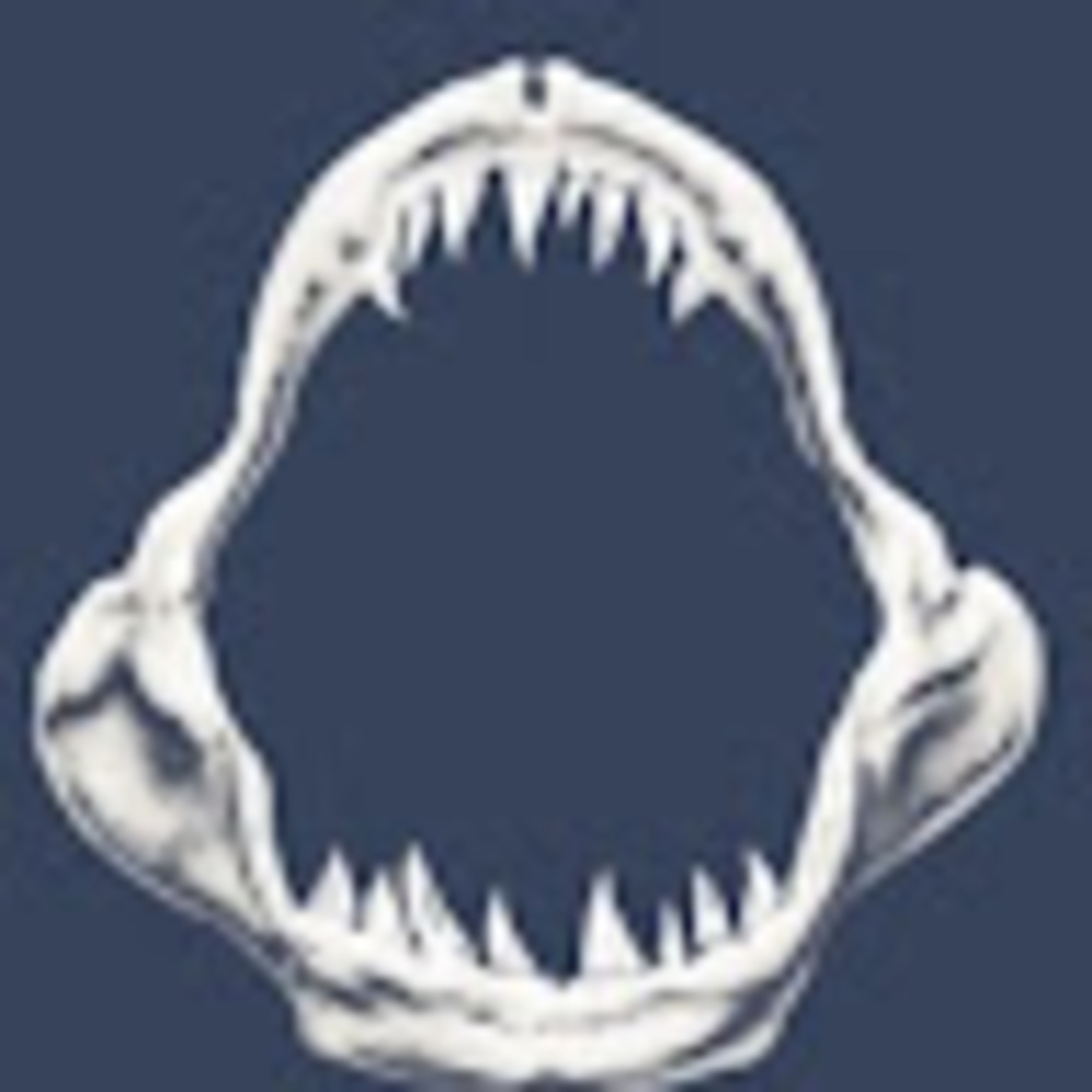 Meet your Posher, Kaitlynn